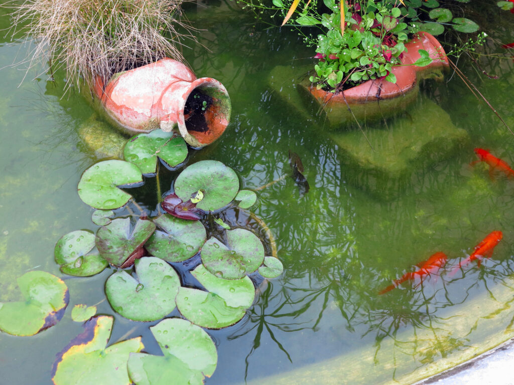 Garten umgestalten: So geht’s effizient und stressfrei