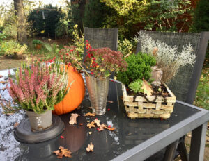 Terrasse im Herbst nutzen: Was Überdachung, Windschutz und Beleuchtung wirklich bringen